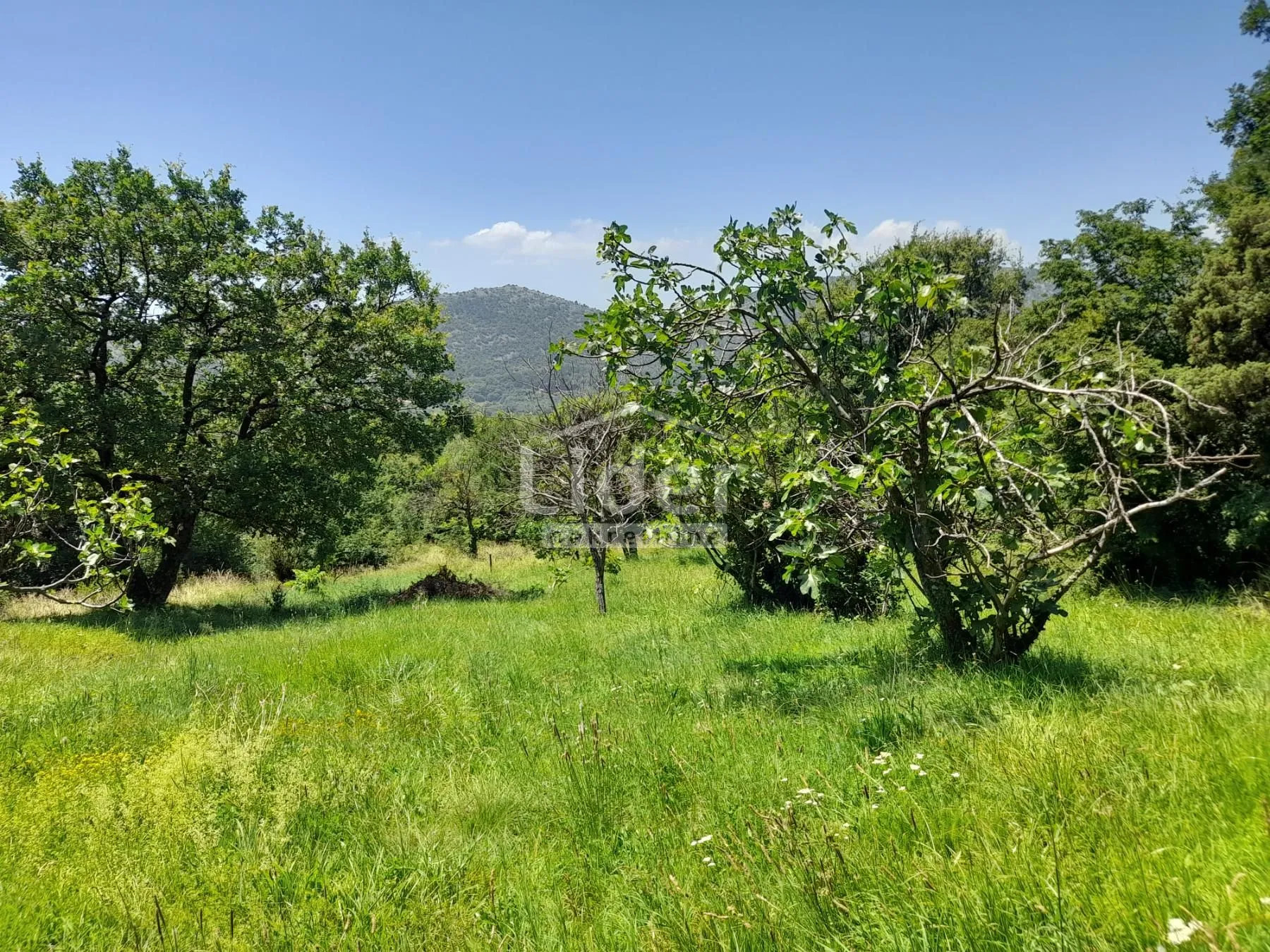 Građevinsko Zemljište Bribir - Kičeri - Bribir, Vinodolska općina