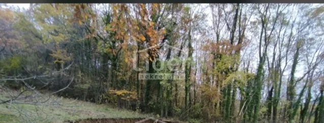 bakarac - građevinski teren 800 m2 + šuma - slika 2