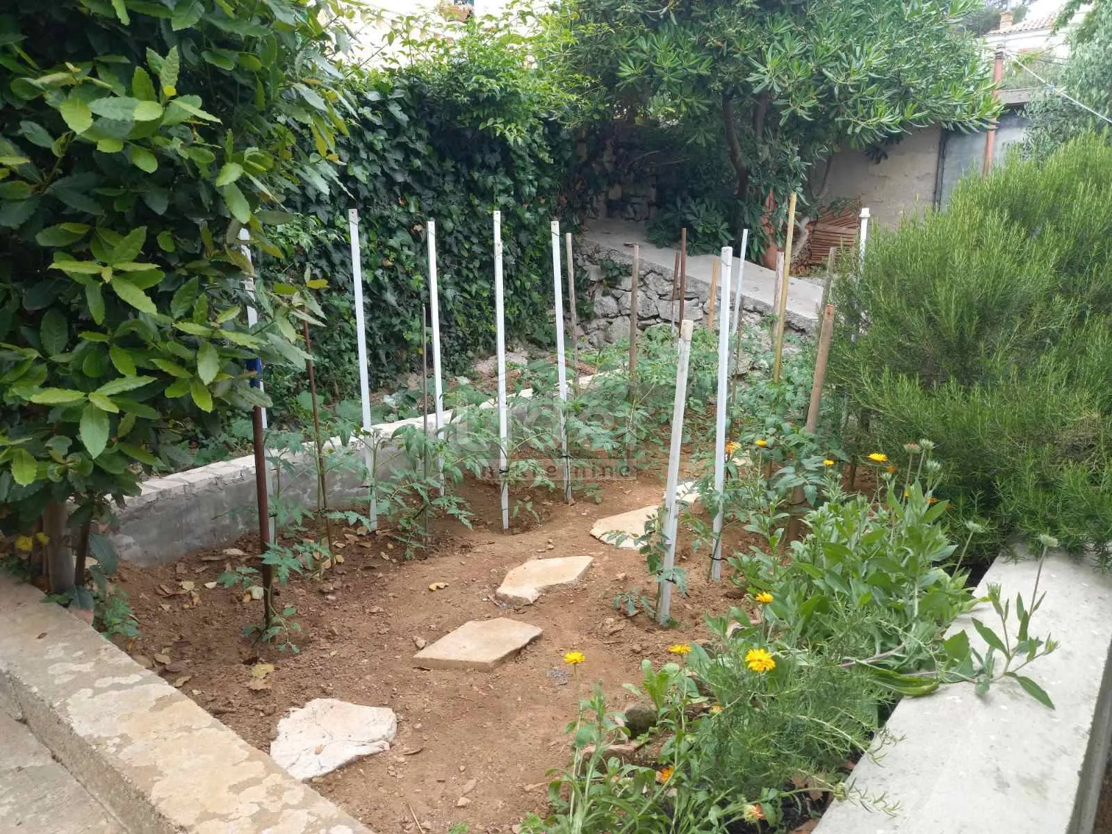 mali lošinj samostojeća villa s pogledom - slika 23
