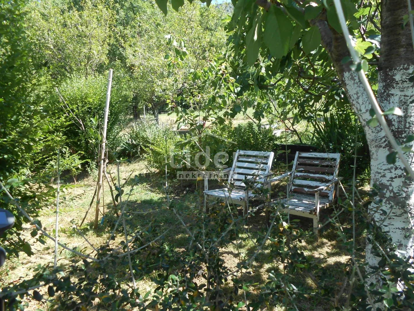 grižane kuća s 4 apartmana + bazen, sauna, jacuzzi - slika 9