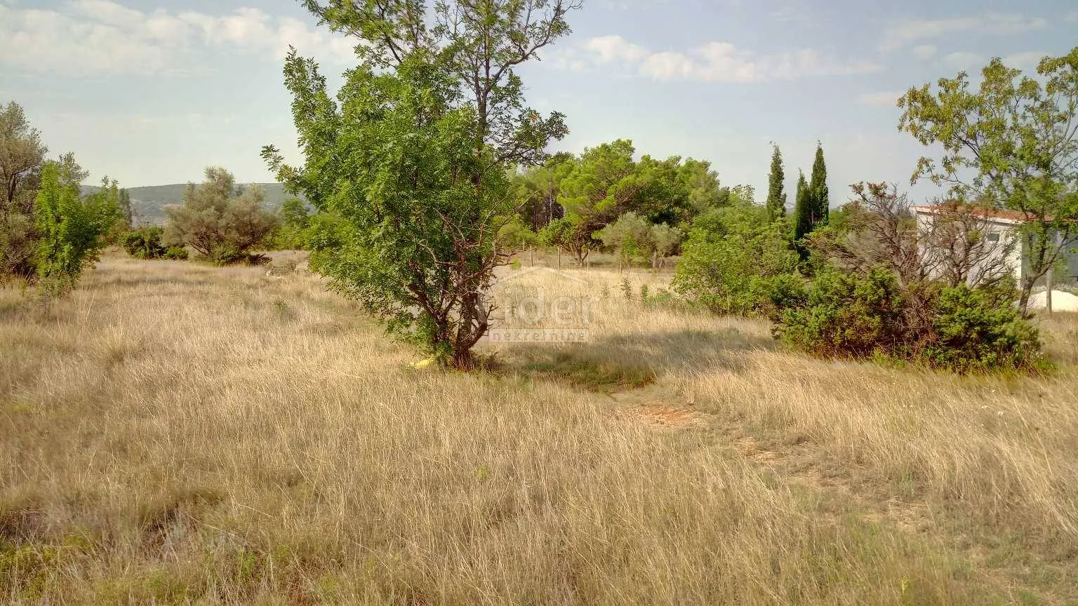 starigrad-paklenica zemljište 300m od mora - slika 2