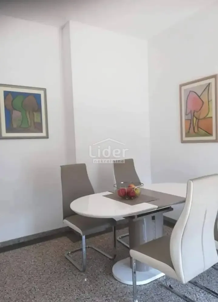 potok - kompletno renoviran stan 114 m2 - slika 4