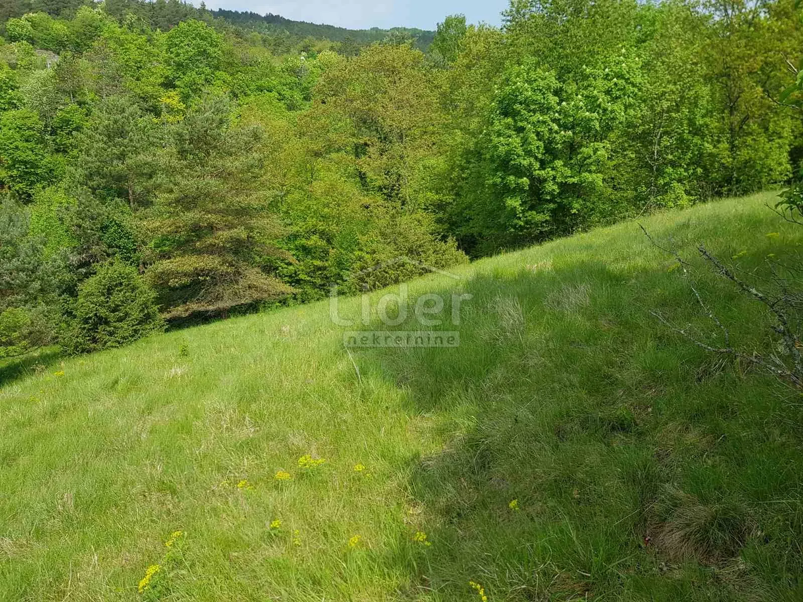 poljoprivredno zemljište šapjane - slika 2