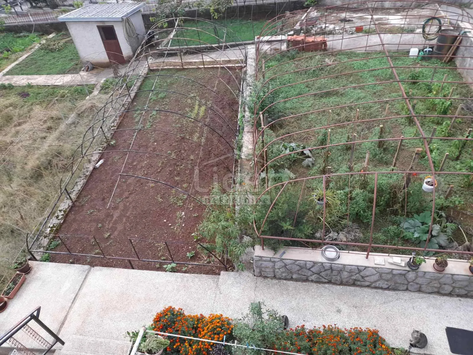 kuća sa velikom okućnicom 1.800m2 - slika 6