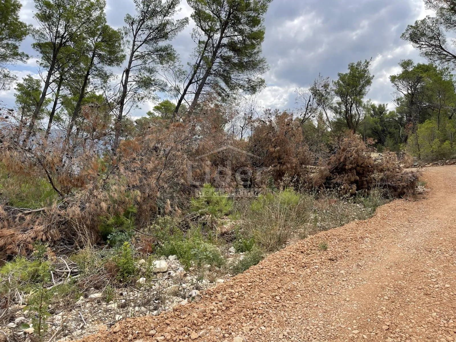 pridraga, građevinsko zemljište 849 m2 na samo 130 m od mora - slika 18