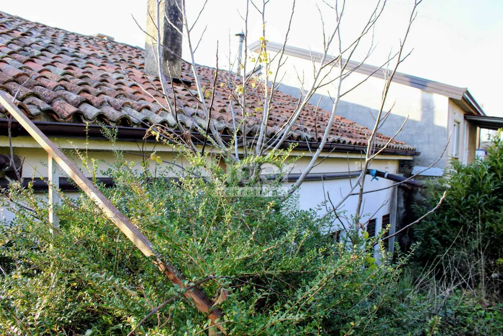 marčelji kuća s odličnim potencijalom i okućnicom - slika 18