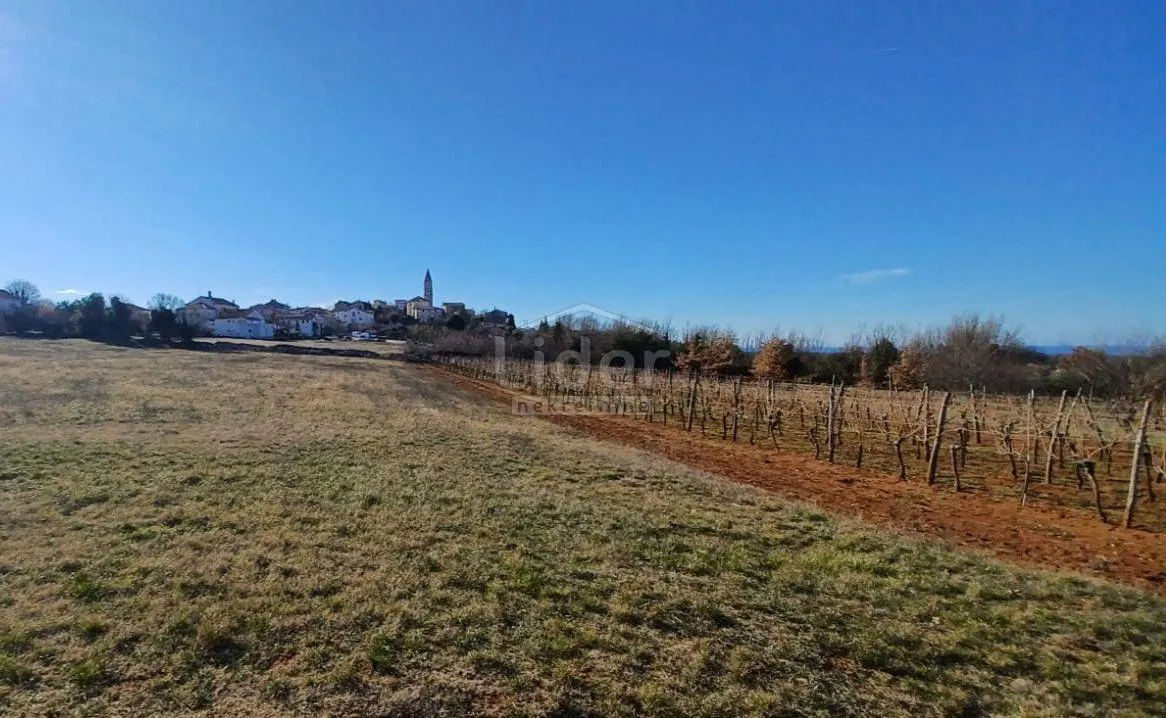 istra zemljište sa pogledom na more - slika 3