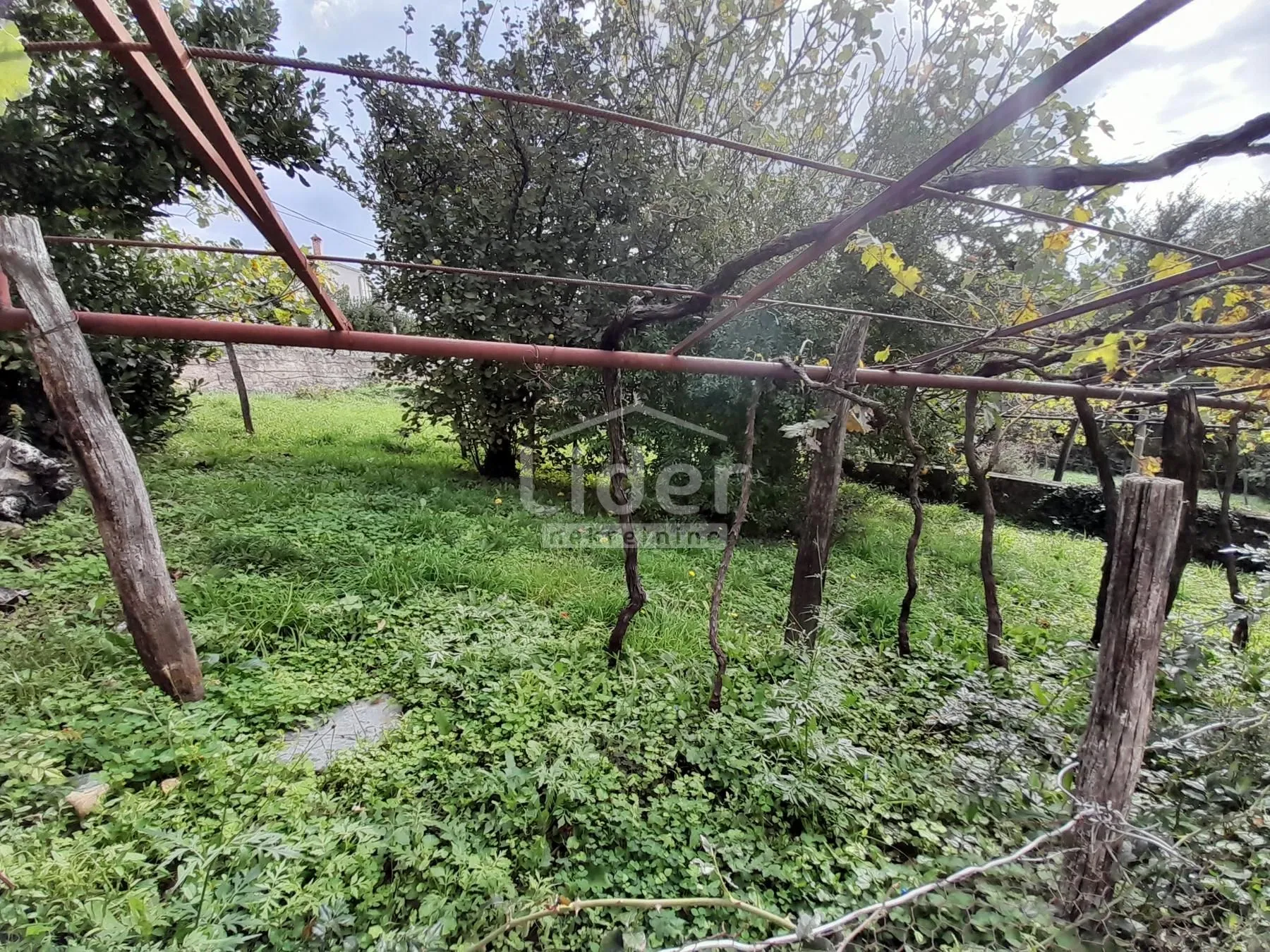 bribir - dvije kuće sa velikom okućnicom - slika 21