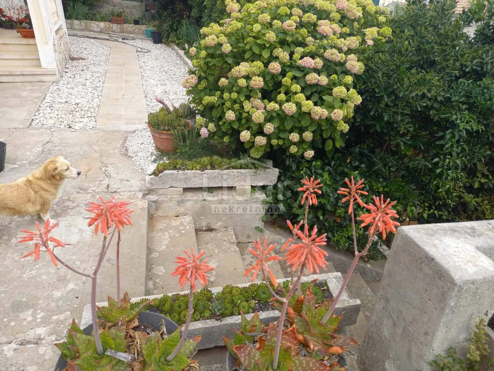 mali lošinj samostojeća villa s pogledom - slika 19