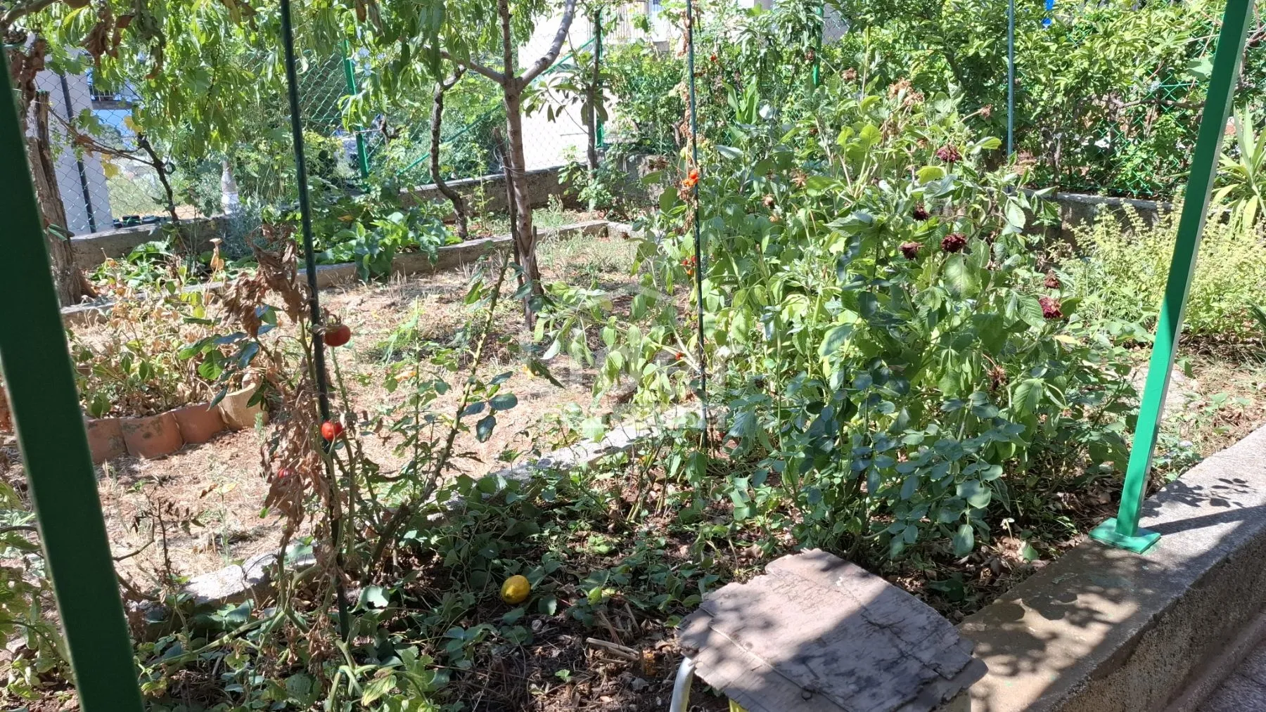 podmurvice-2s+db,59m2 - slika 3