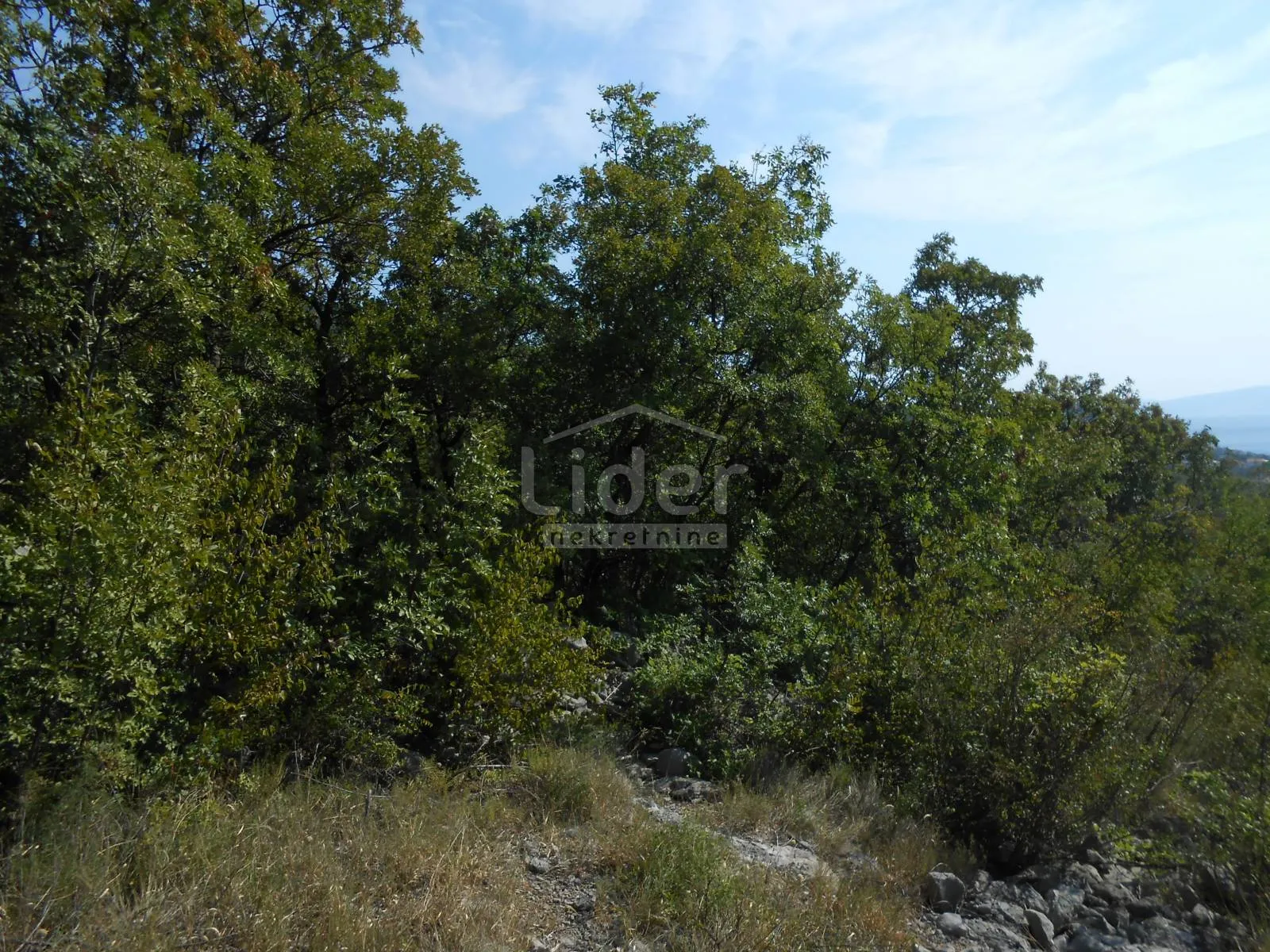 klenovica zemljište 852 m2 s pogledom na more - slika 3