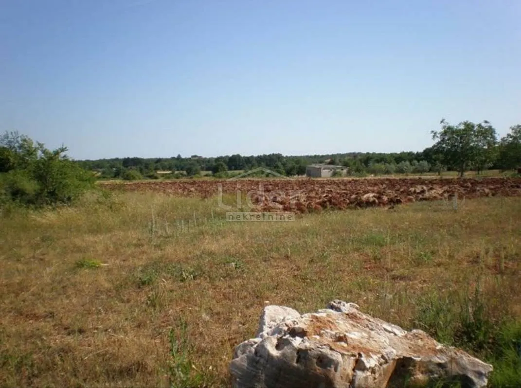 višnjan okolica, građevinsko zemljište 8.270m2 - slika 3