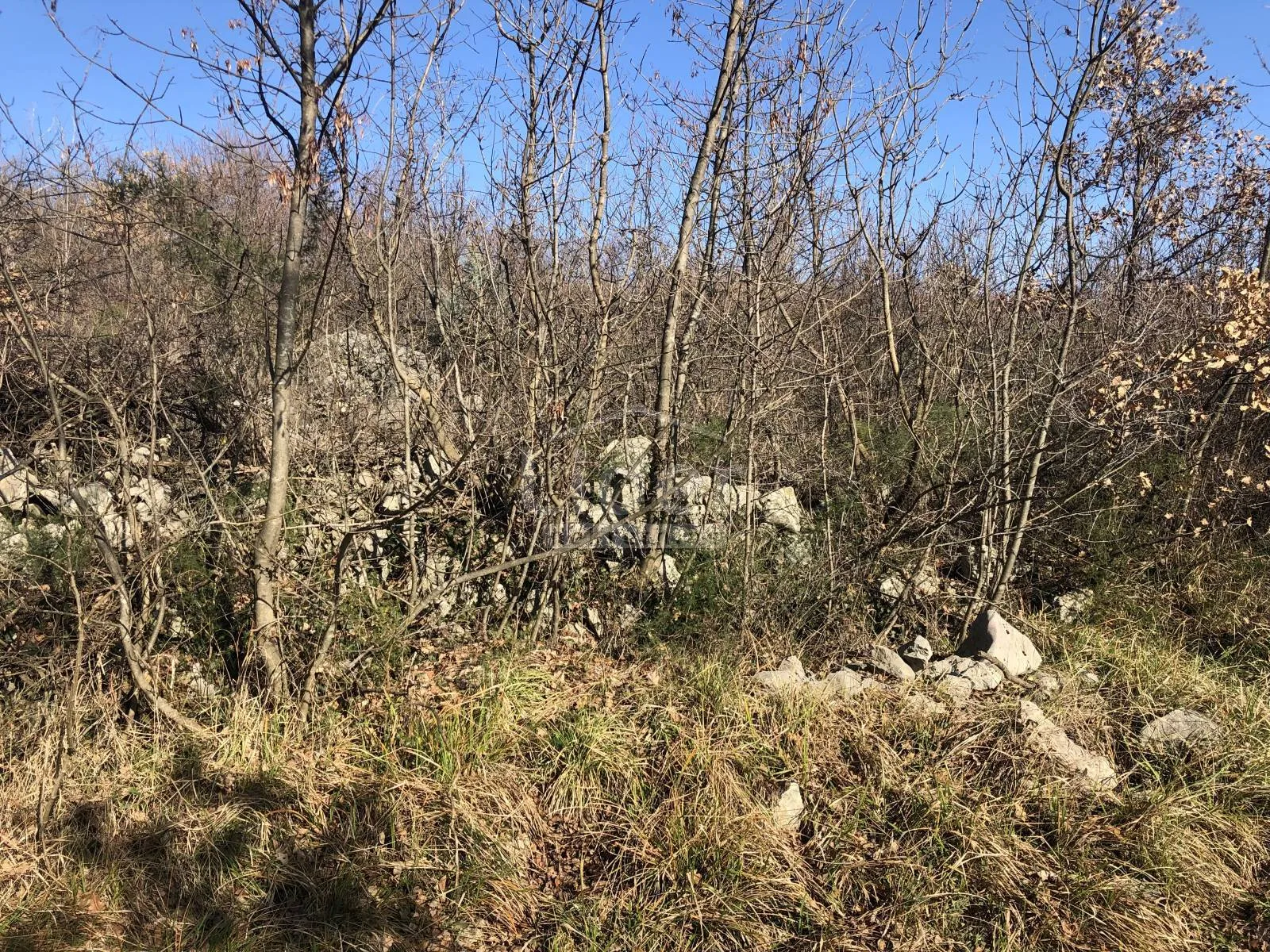 martinkovac, građevinsko zemljište 851m2 - slika 7