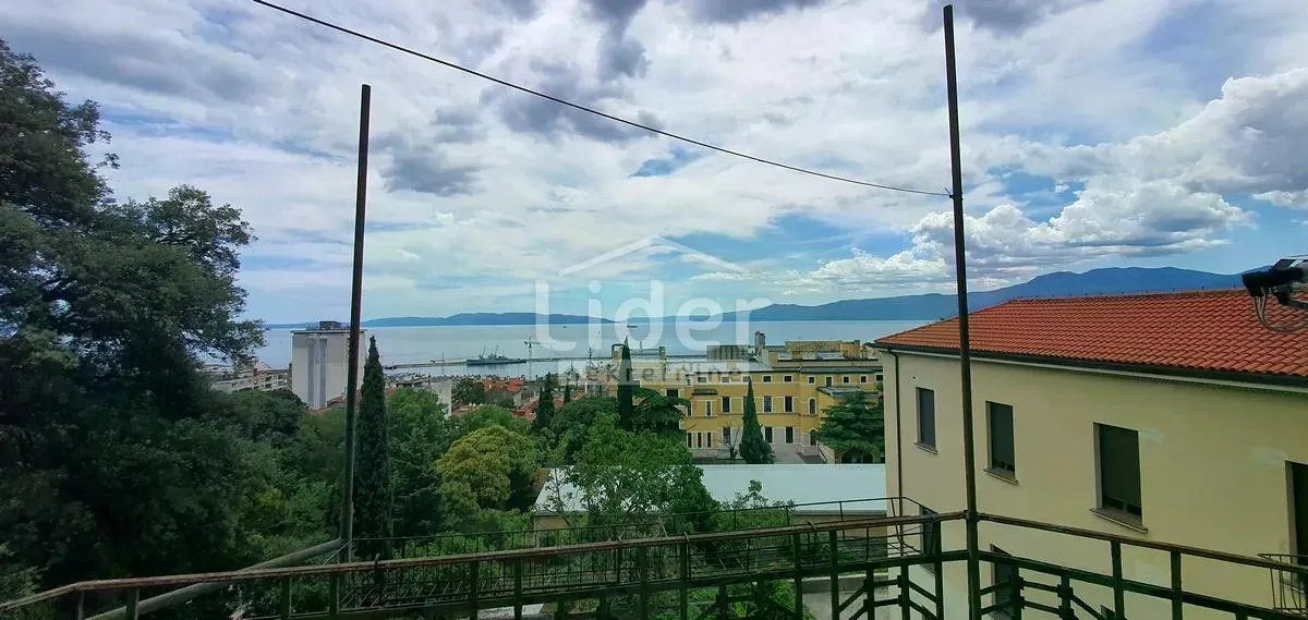 belveder, 205 m2, moguće preinaka u 2 stambene jedinice - slika 2