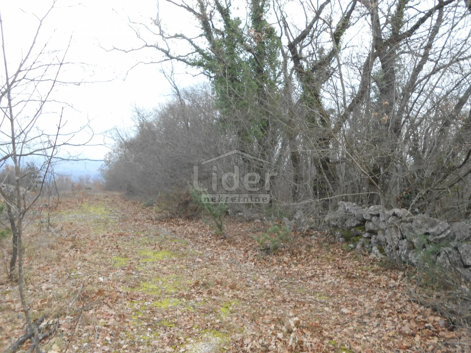 sužan (otok krk) poljoprivredno zemljište, 2841 m2 - slika 7