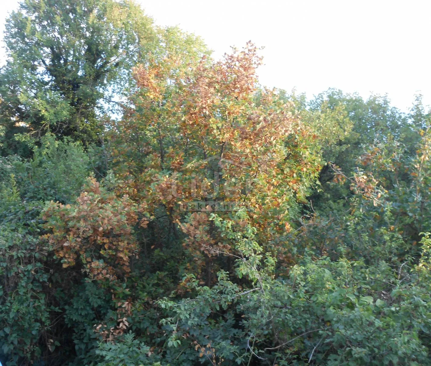 kostrena građevinsko zemljište s pogledom 1651m2 - slika 2