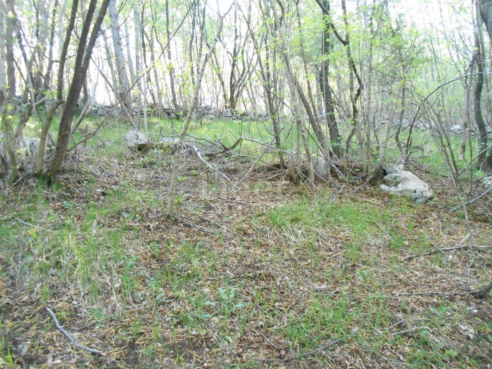 gornja drenova, zemljište 1400m2 - slika 1