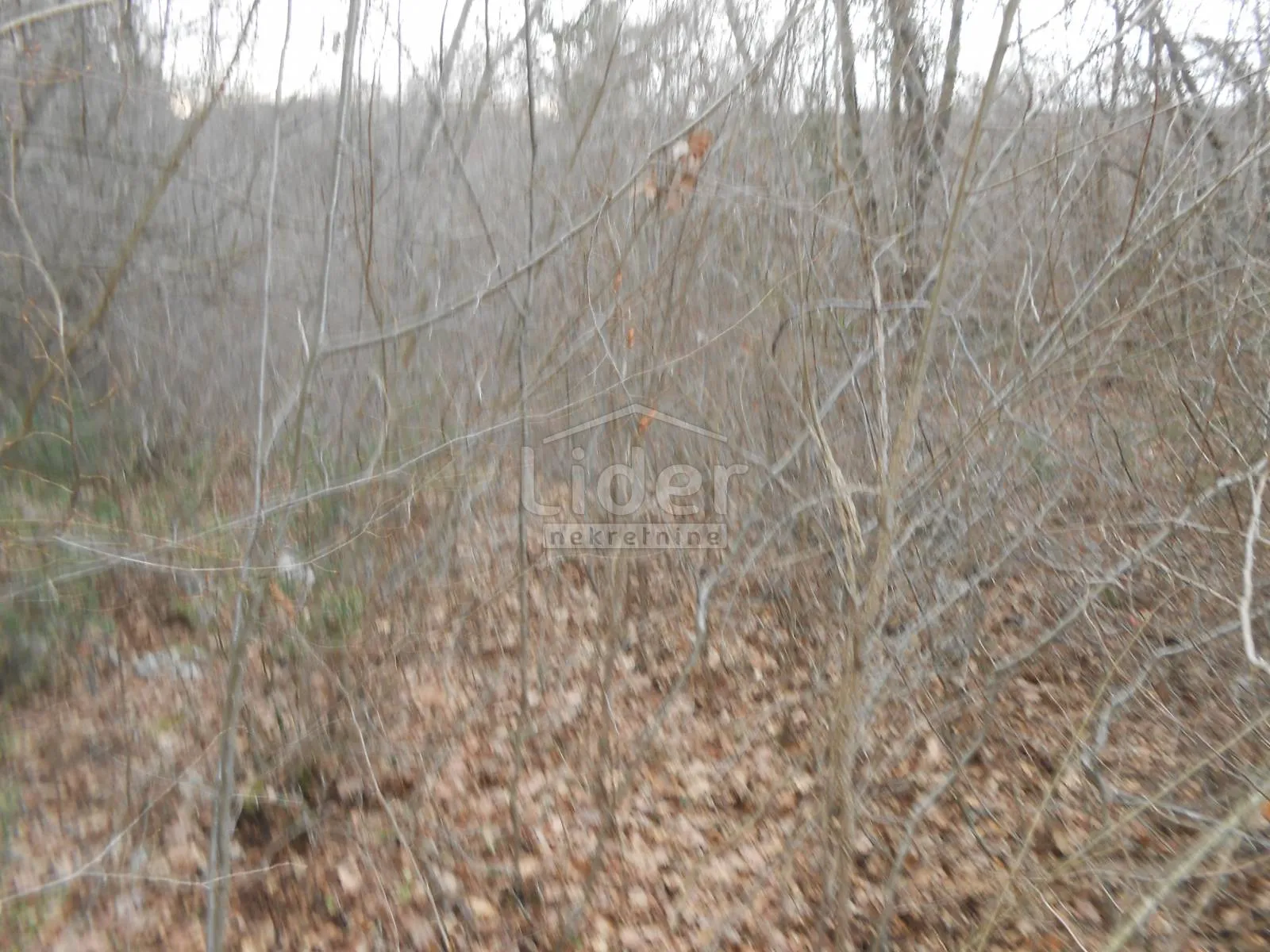 sužan (otok krk) poljoprivredno zemljište, 2841 m2 - slika 5