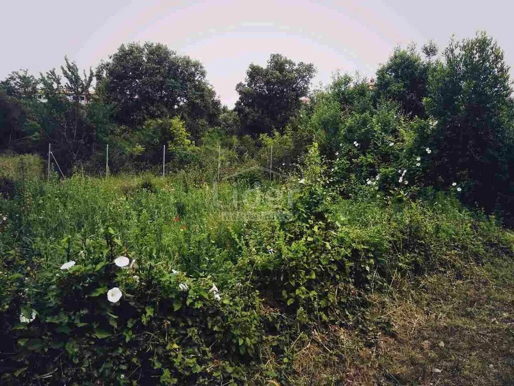istra-medulin (okolica) zemljište 200 m od mora - slika 4
