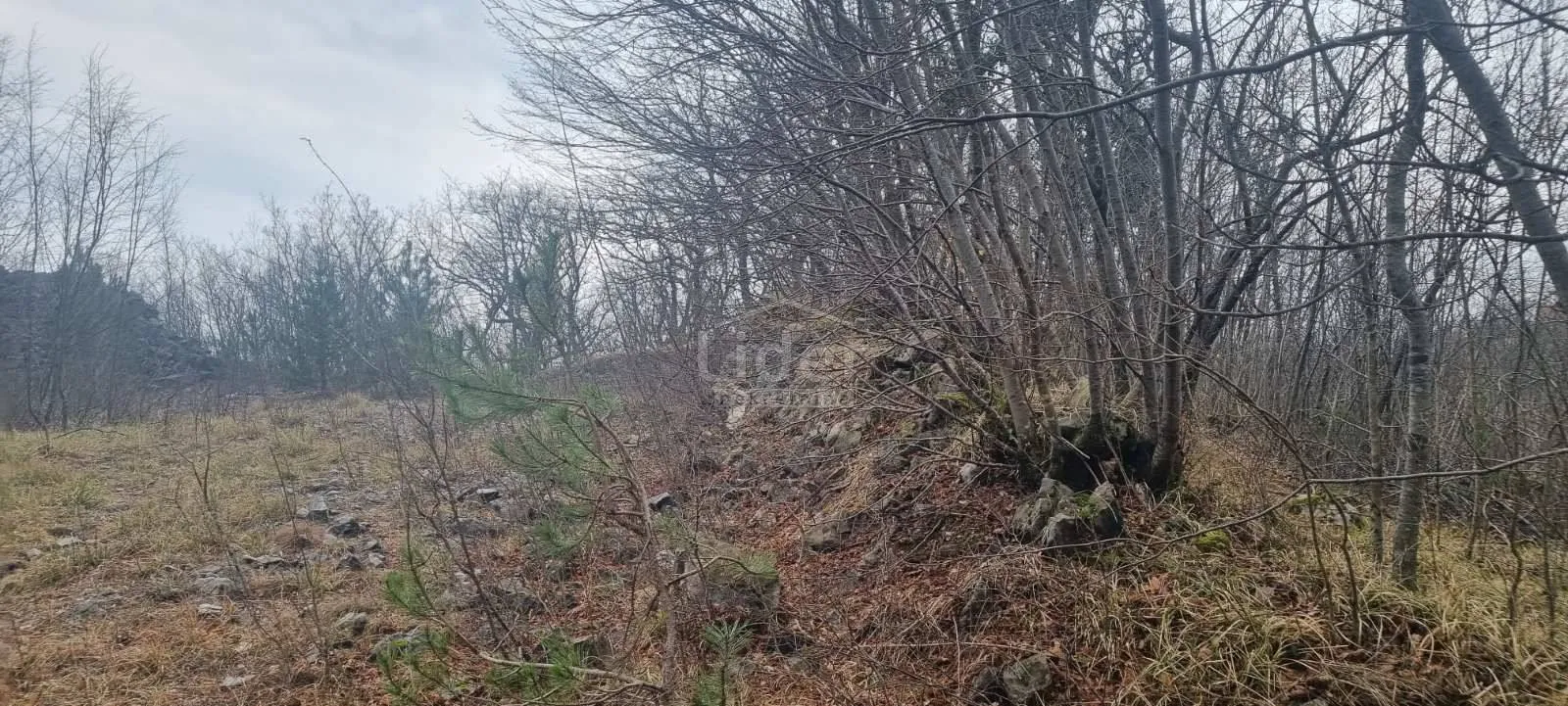 viškovo, teren od 2.142m2 - slika 2
