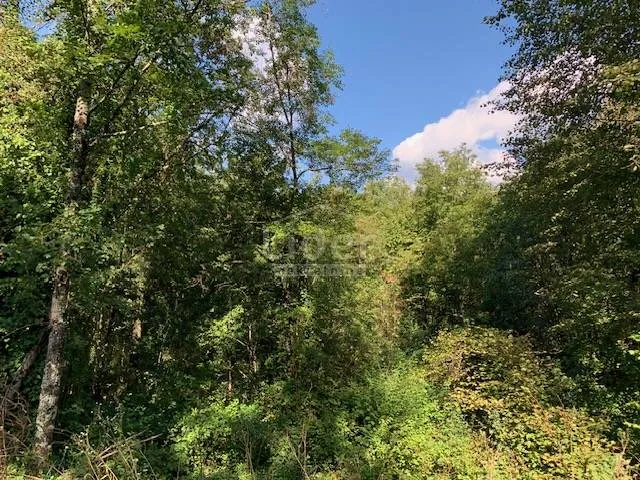 mali brgud, građevinsko zemljište 2590 m2 - slika 2