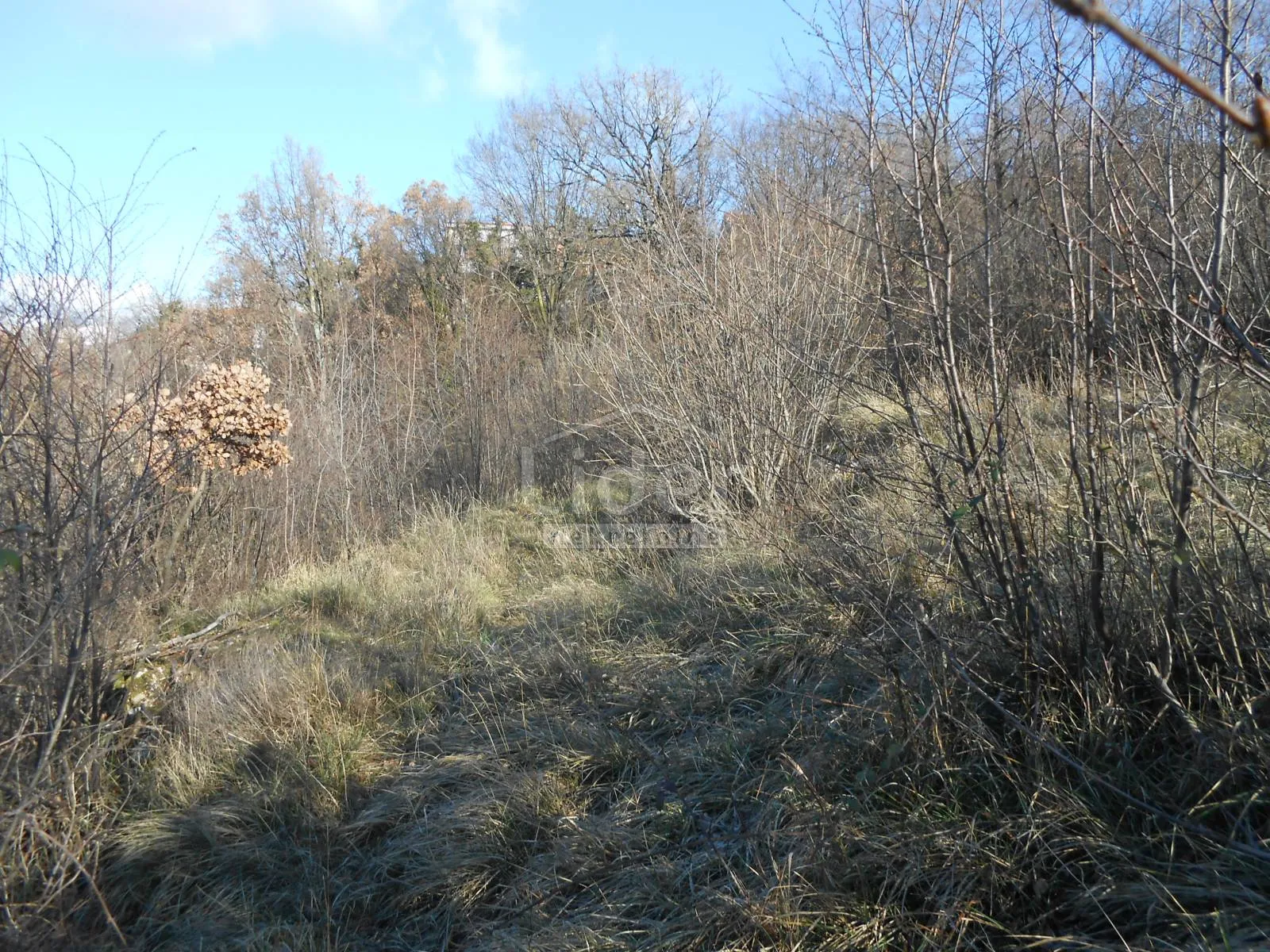 čavle-cernik građevinsko zemljište 1017 m2 - slika 6