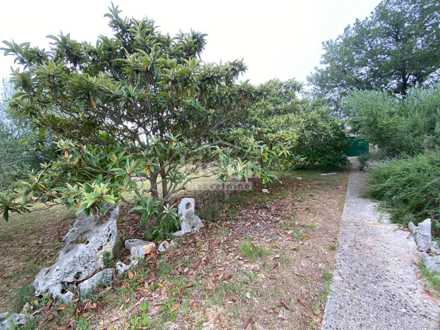 rovinj, rovinjsko selo, samostojeća kuća sa 1.507m2 okućnice - slika 25