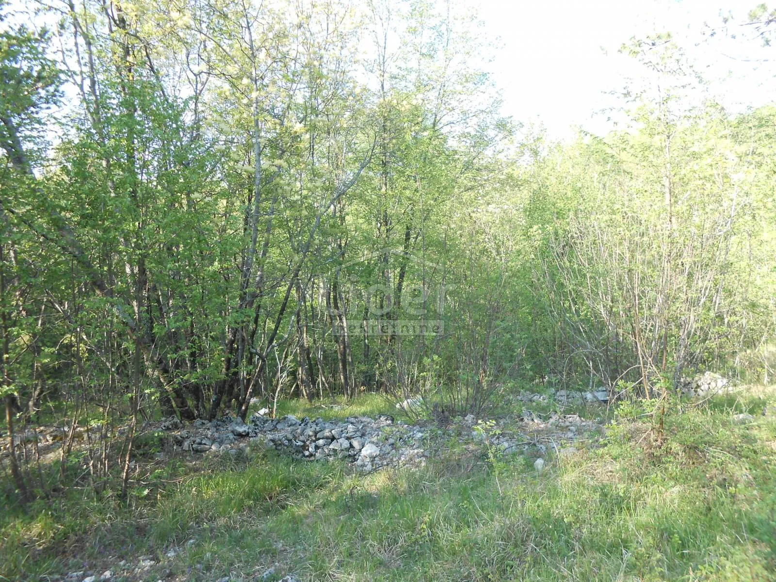 gornja drenova, zemljište 1400m2 - slika 4