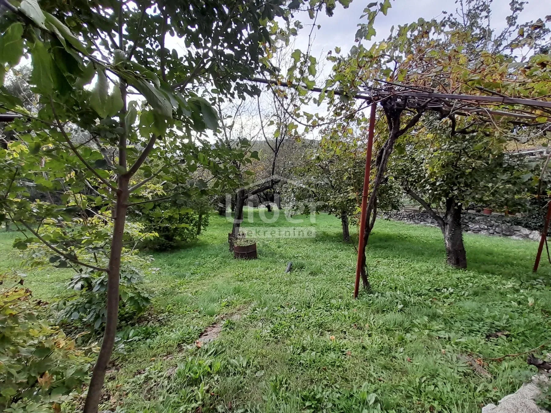bribir - dvije kuće sa velikom okućnicom - slika 24
