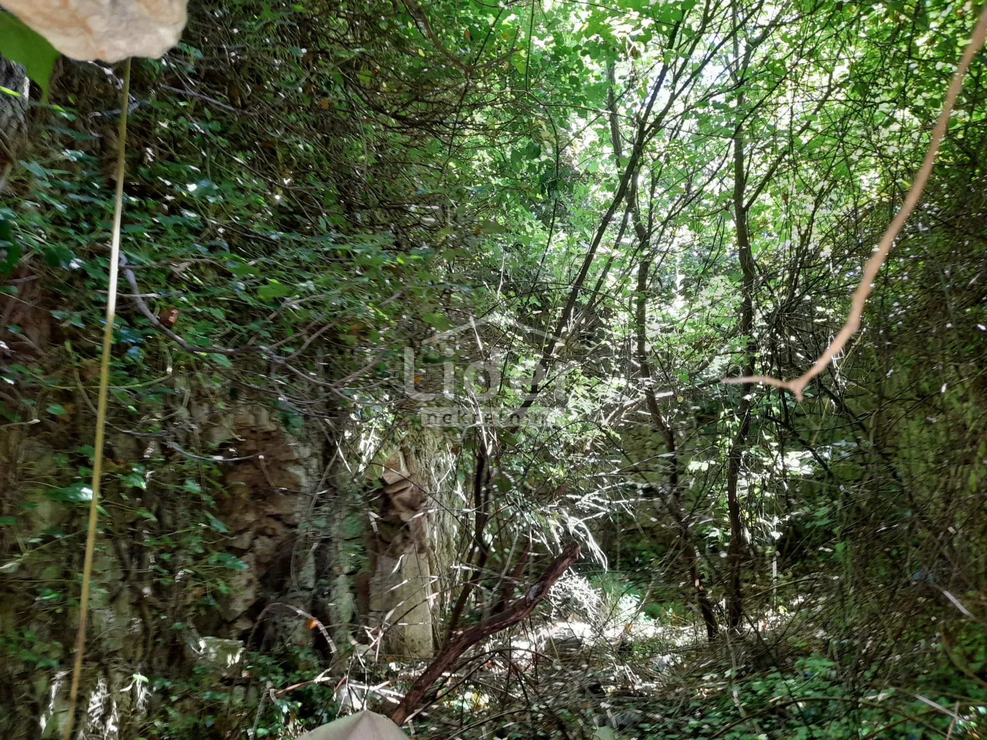 ruševna kuća s velikim građevinskim terenom - slika 6