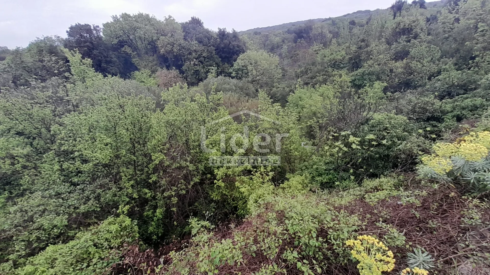 otok krk,punat-poljoprivredno zemljište 554m2 - slika 2