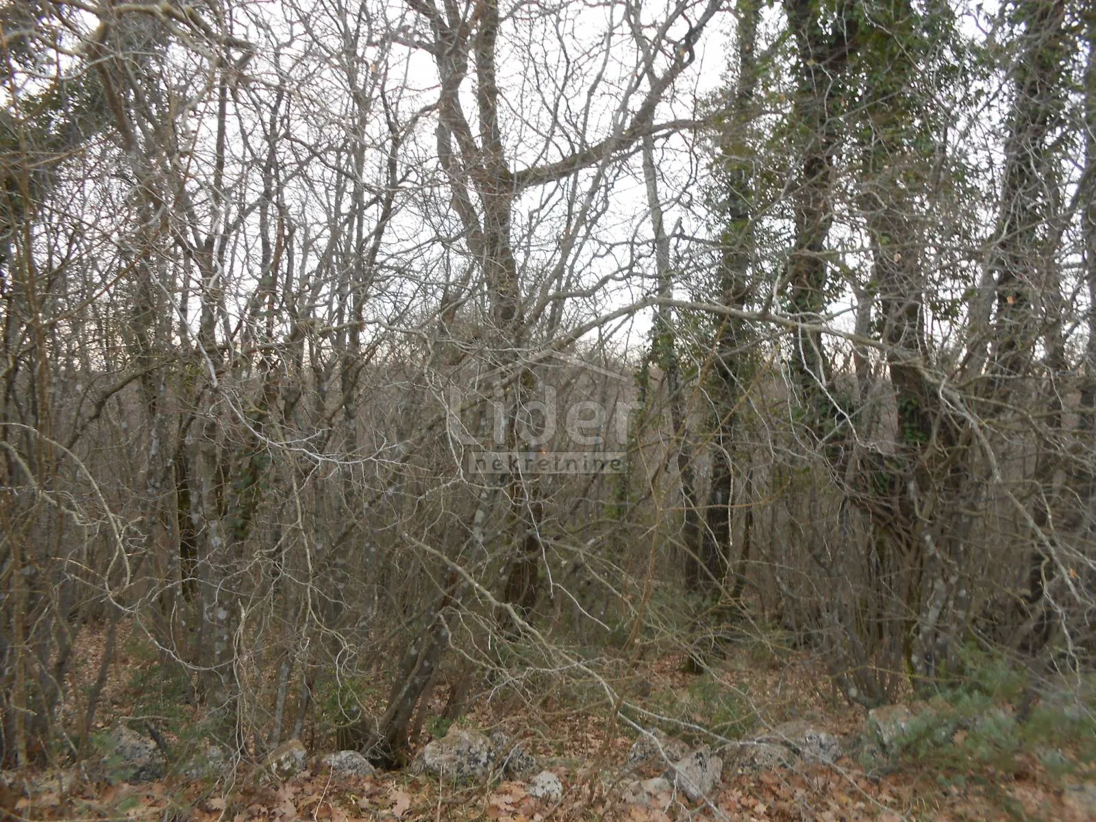 sužan (otok krk) poljoprivredno zemljište, 2841 m2 - slika 2
