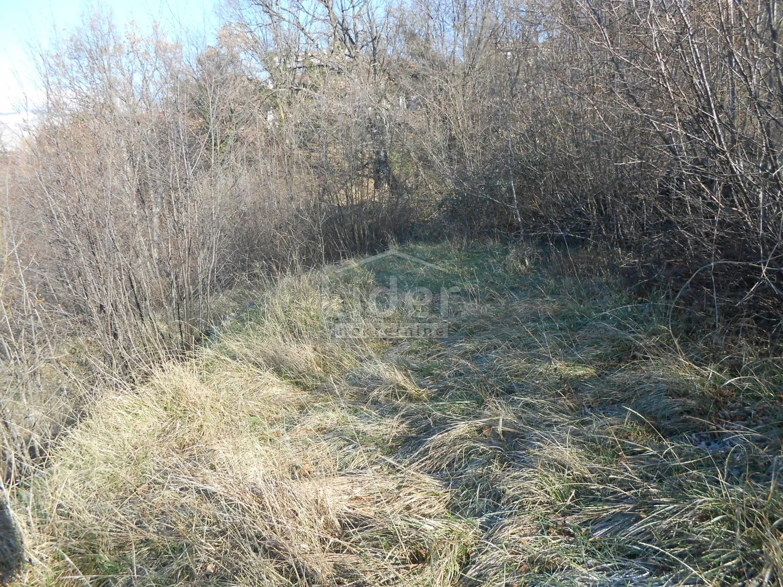 čavle-cernik građevinsko zemljište 1017 m2 - slika 5