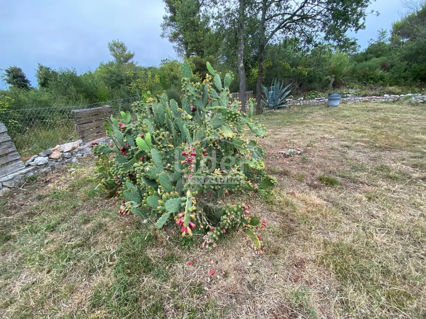 rovinj, rovinjsko selo, samostojeća kuća sa 1.507m2 okućnice - slika 19