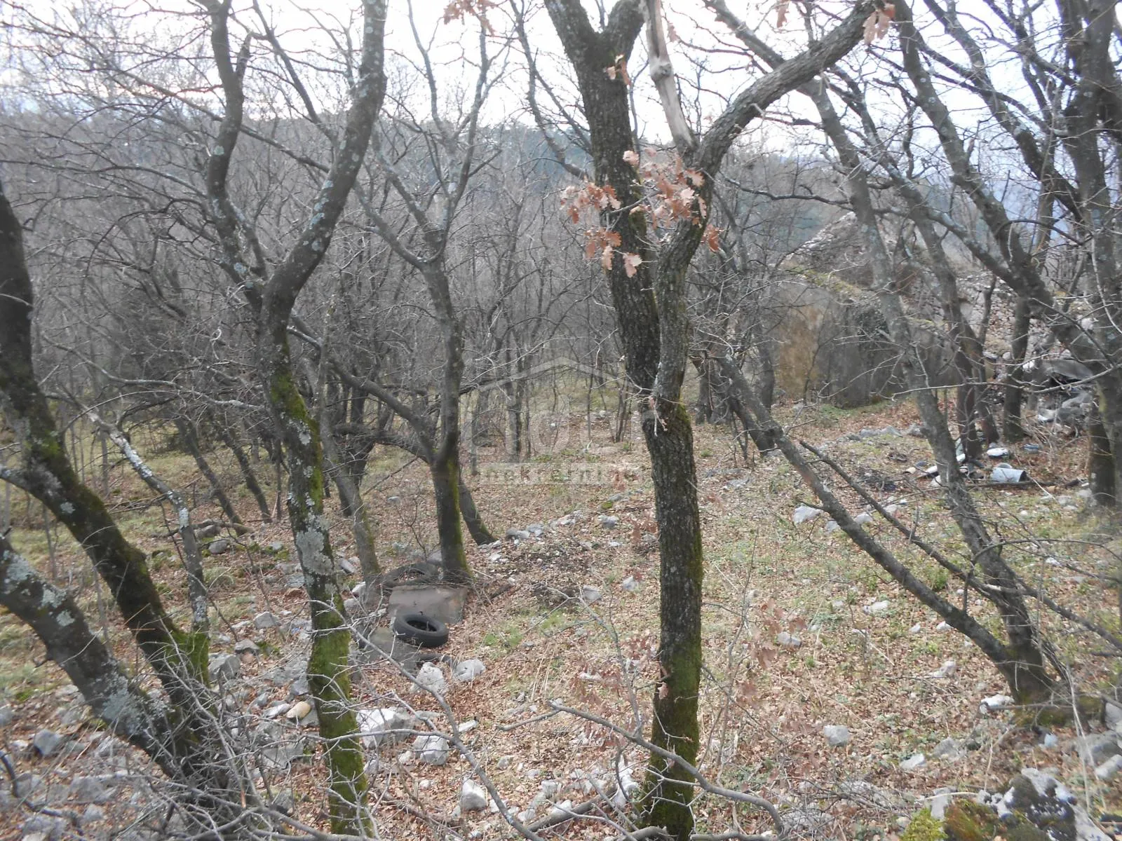 hreljin ruševina na zemljištu od 1665 m2 - slika 10