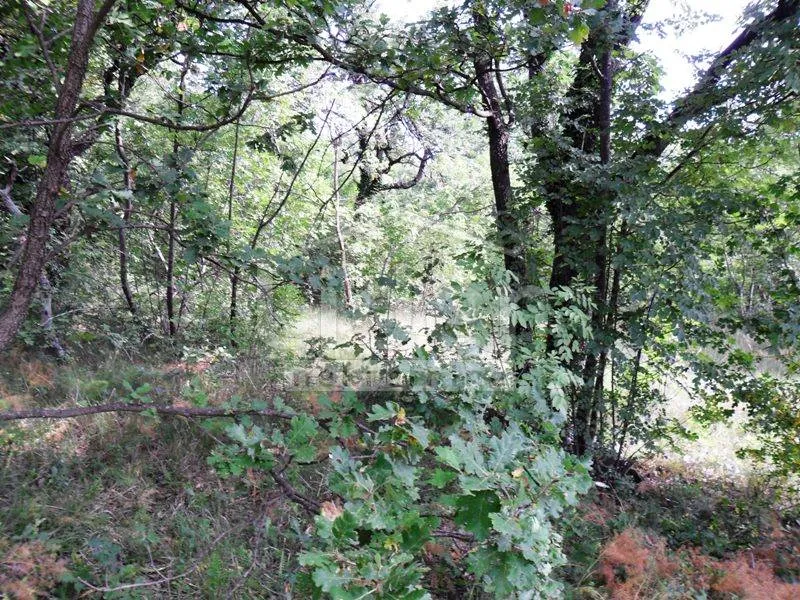 Teren Rijeka, DRENOVA, 1900m2