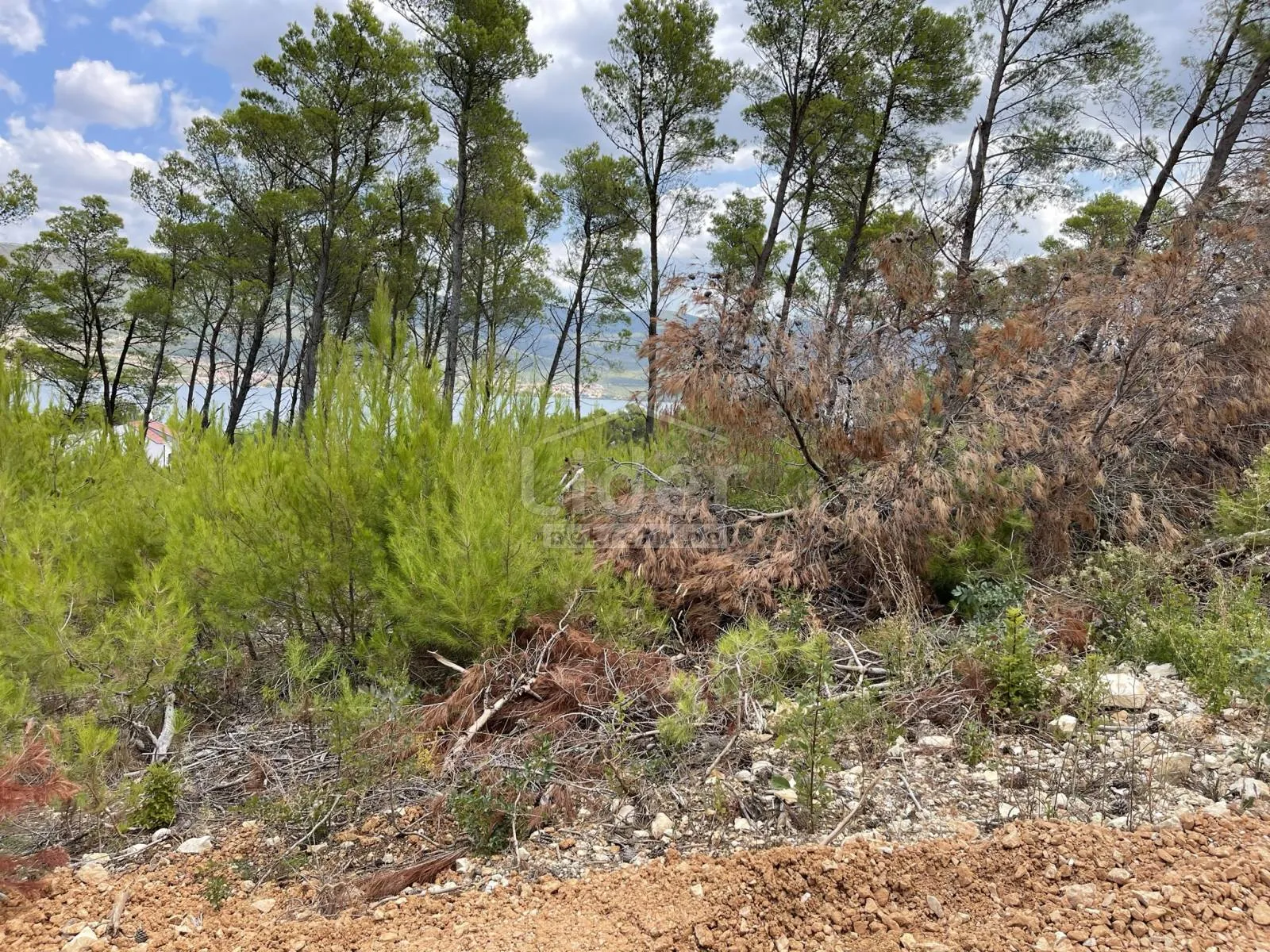 pridraga, građevinsko zemljište 849 m2 na samo 130 m od mora - slika 17