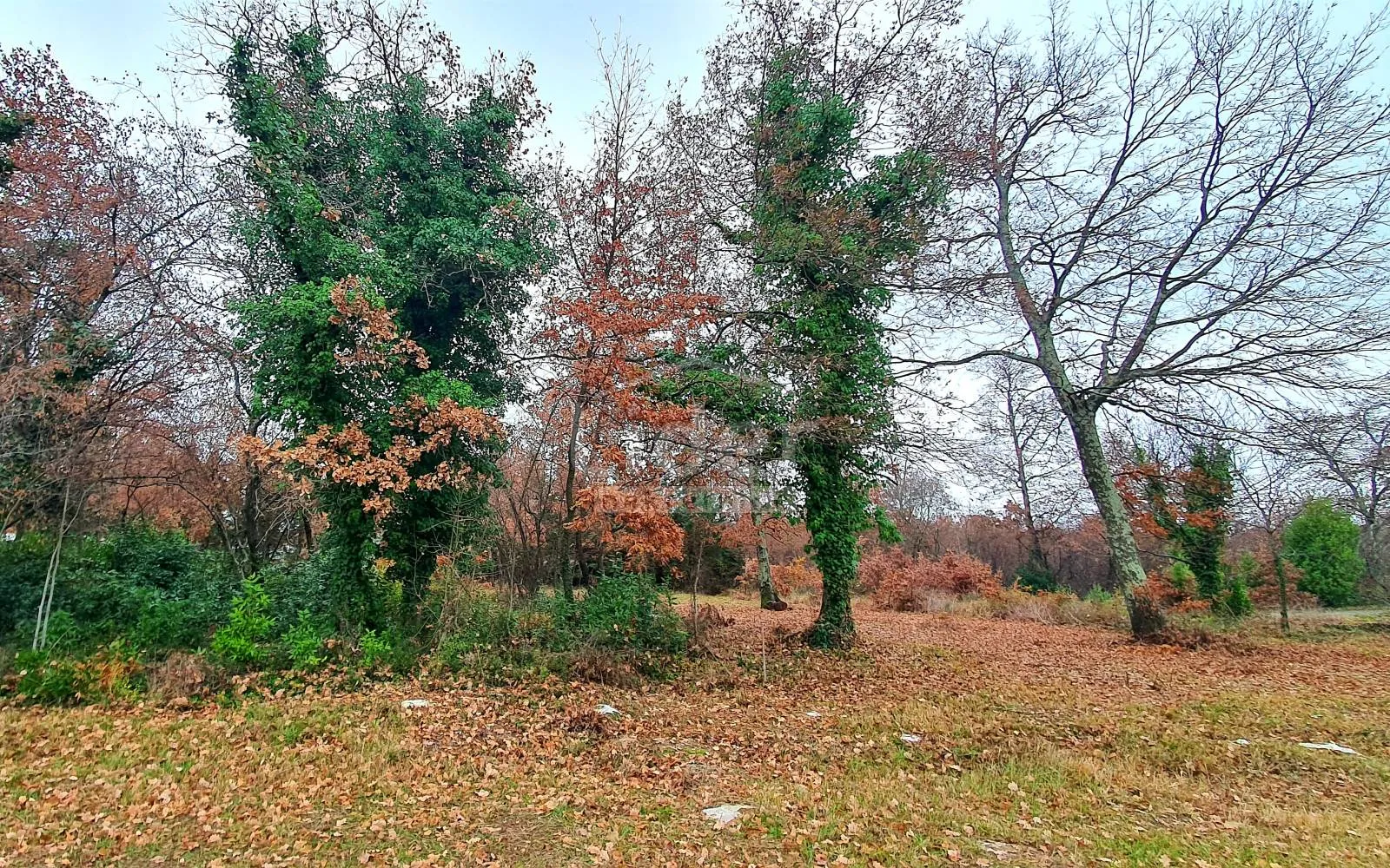 građevinsko zemljište u okolici poreča - 2.755 m2 - slika 3