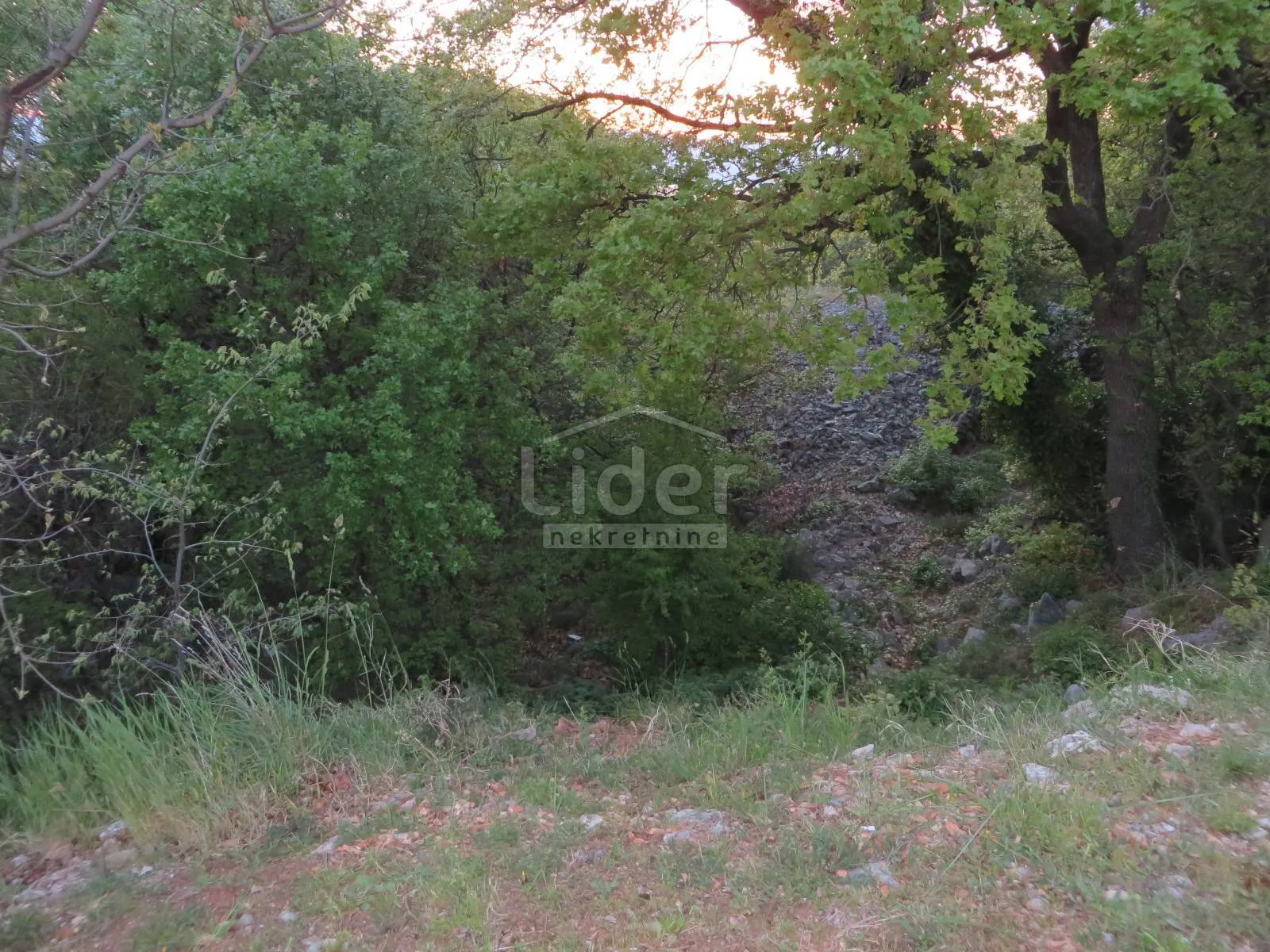 kostrena 1438 m2 ukošenog zemljišta - slika 3