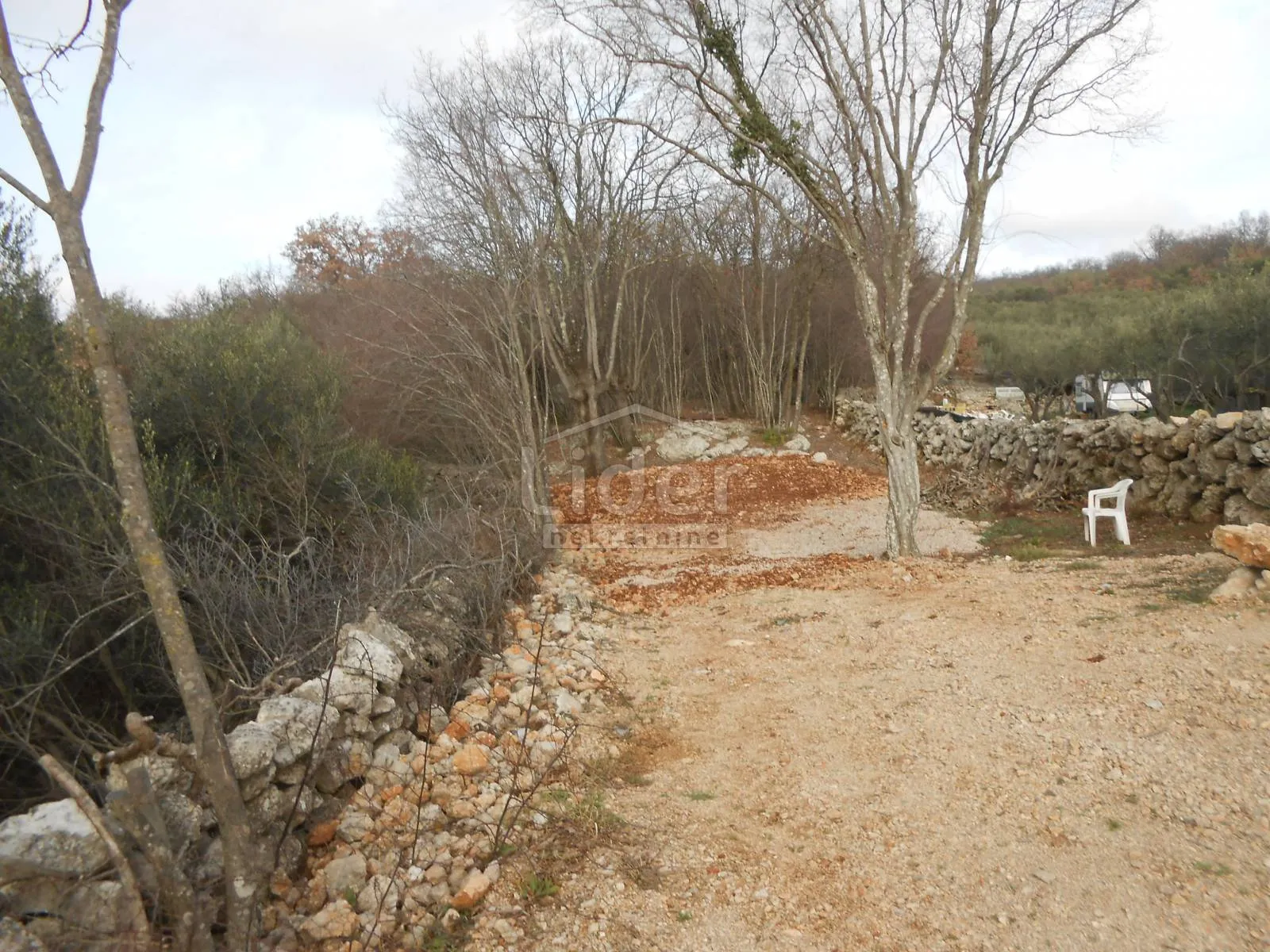 bajčići (krk) maslinik i poljoprivredno zemljište - slika 7