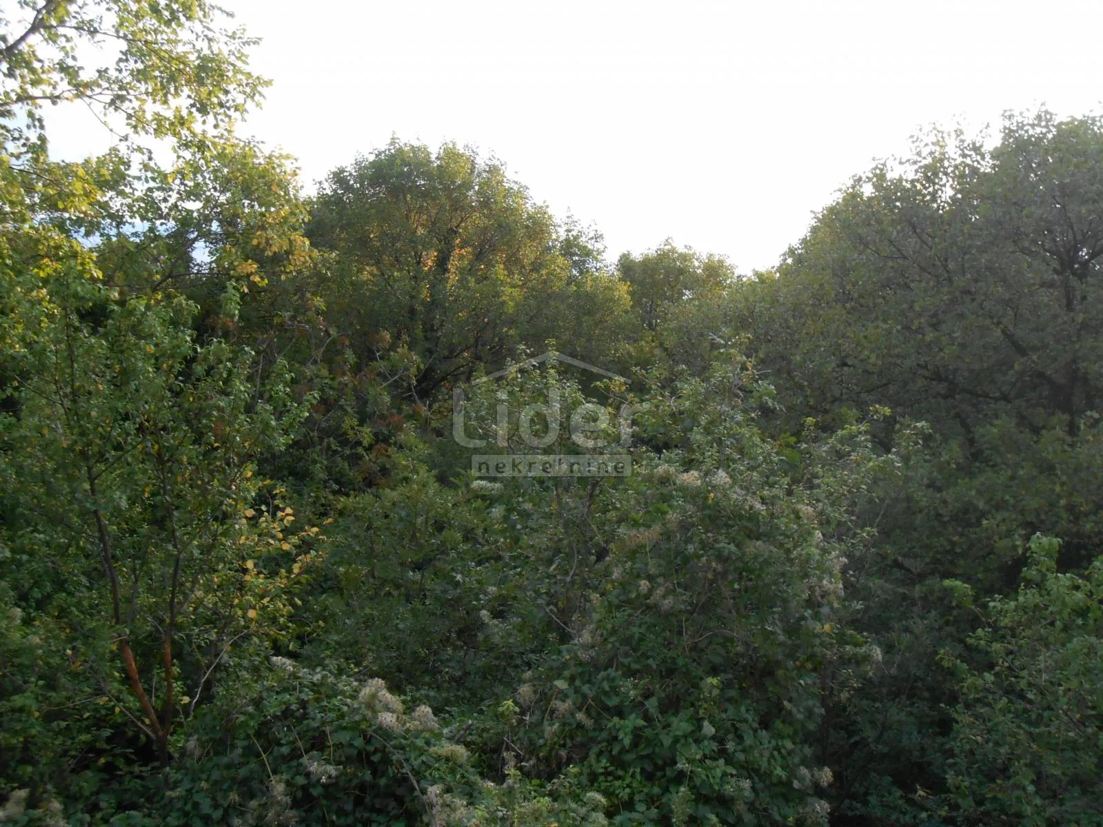 kostrena građevinsko zemljište s pogledom 1651m2 - slika 3