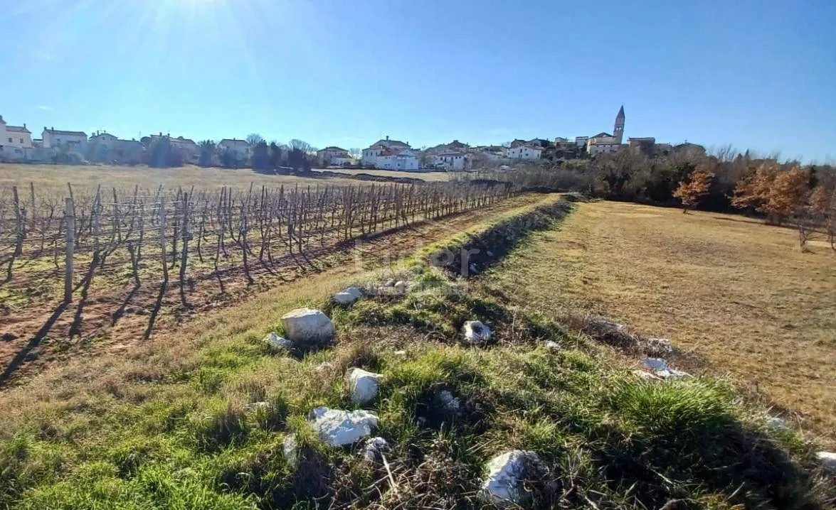 istra zemljište sa pogledom na more - slika 5