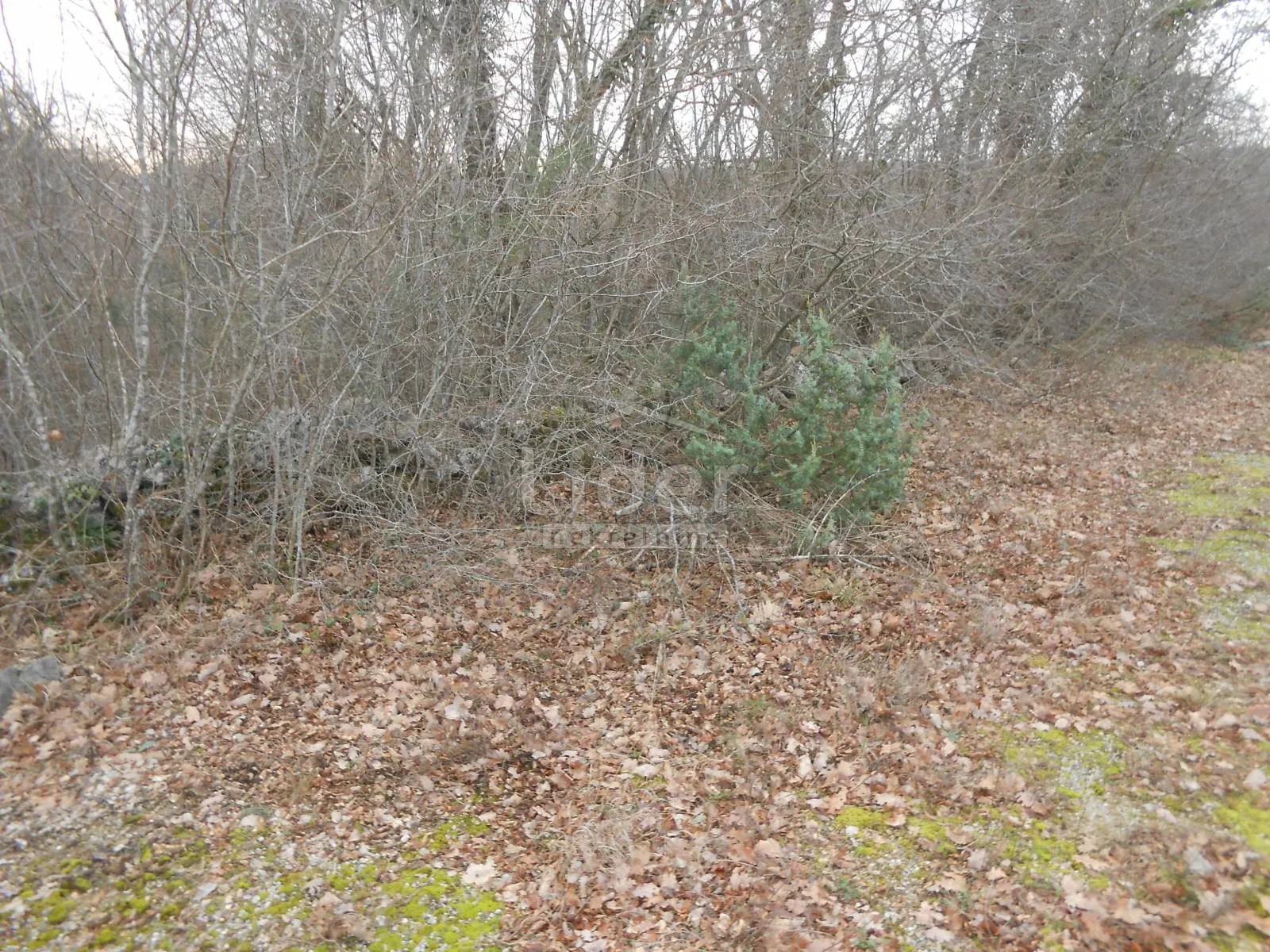 sužan (otok krk) poljoprivredno zemljište, 2841 m2 - slika 6