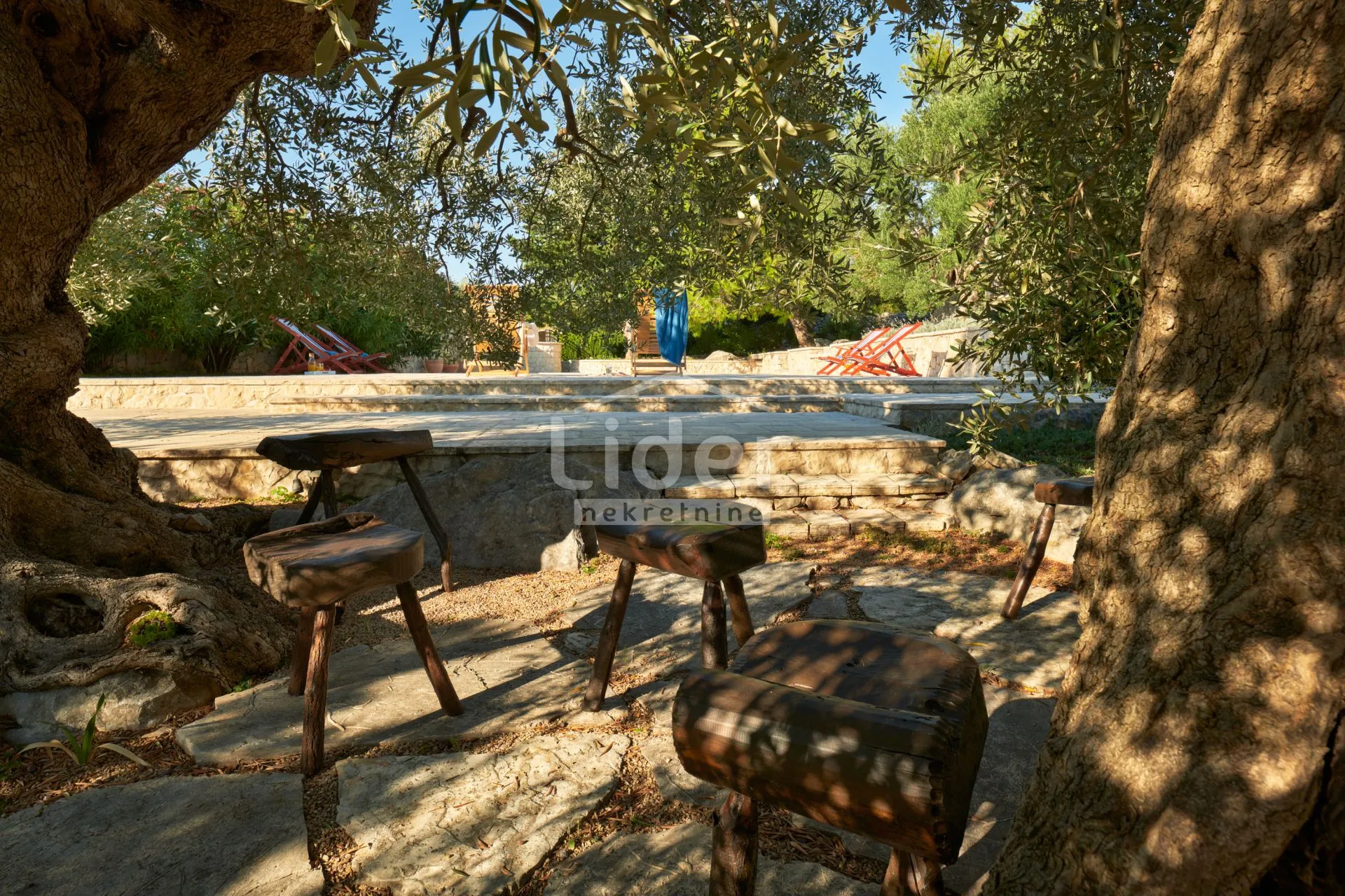 lun, čarobna vila sa bazenom i stoljetnim maslinama - slika 8