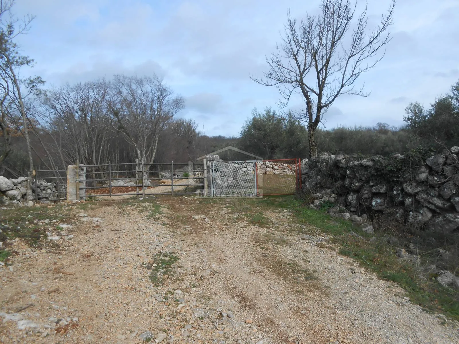 bajčići (krk) maslinik i poljoprivredno zemljište - slika 4