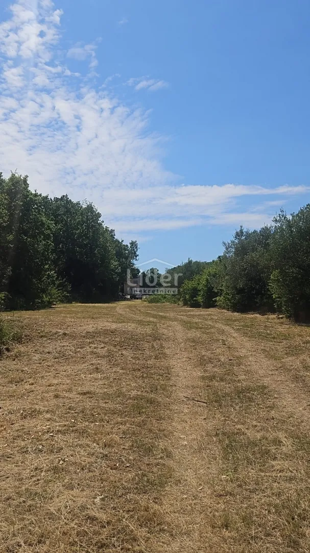 rakalj, predivno zemljište na osami prodajemo - slika 2