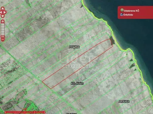 otok pag, kolan, zemljište 67.400m2 uz more - slika 13