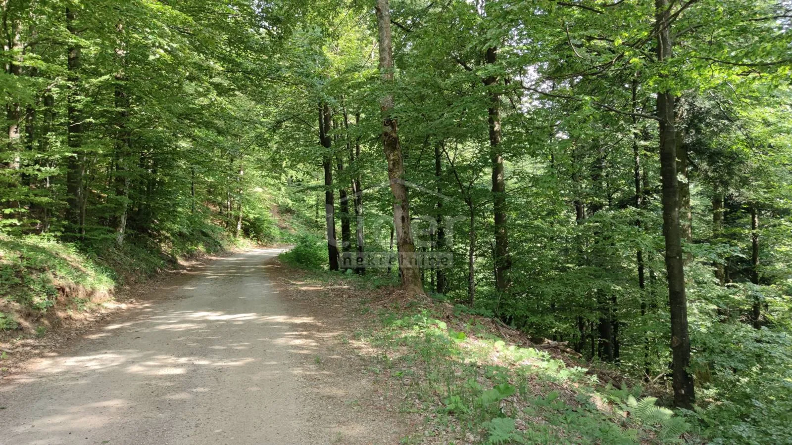 fužine zemljište-šuma od 22.378 m2 s prilazom - slika 6