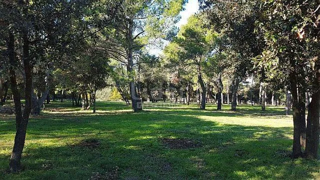 rovinj, građevinsko zemljište 12.050 m2 - slika 9