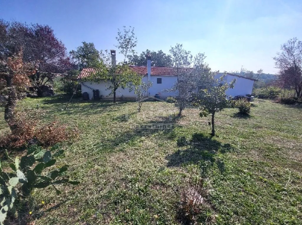 rovinj, rovinjsko selo, samostojeća kuća sa 1.507m2 okućnice - slika 2